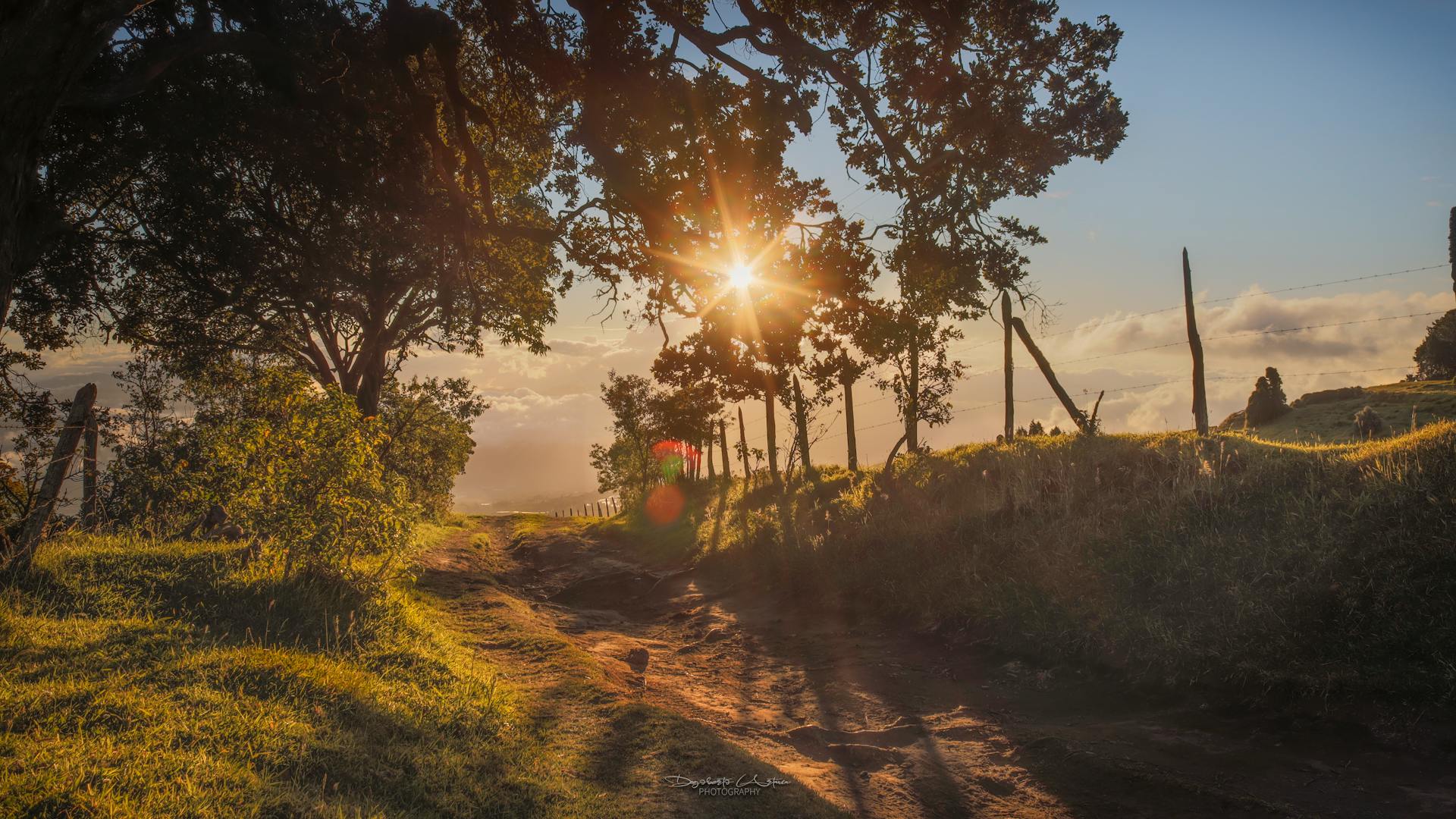 Downtown Showroom Location