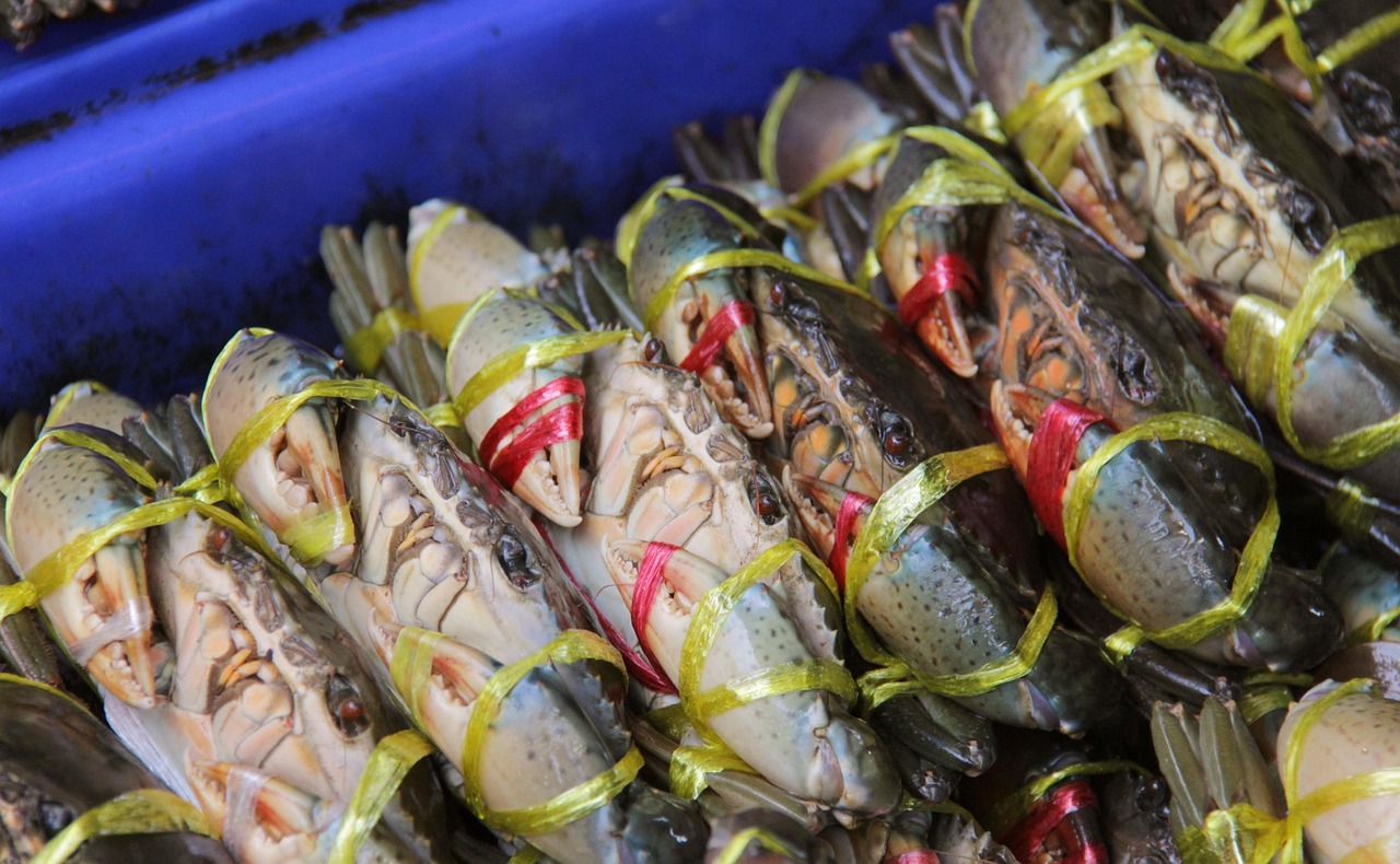 Fresh seafood restaurant dining preparation